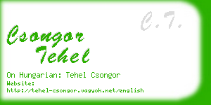 csongor tehel business card